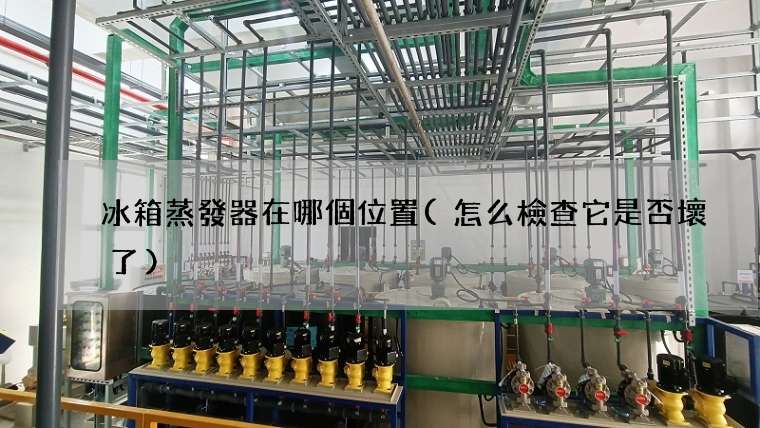 冰箱蒸發器在哪個位置(怎么檢查它是否壞了)